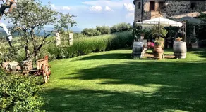 Borgo San Gusmè - Image 5