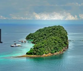 Live on sea water - Image 5