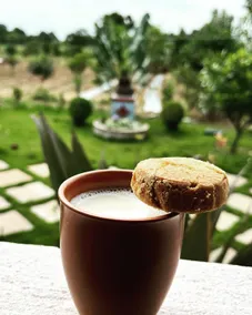 Nipun's Farm - Image 5