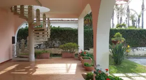Casammare - Image 2