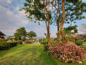 Tanaosri & Creekside Resort - Image 5