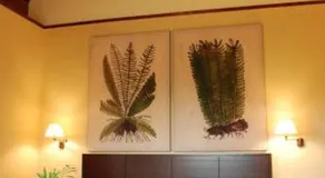 OLATZEA LANDA HOTELA - Image 2