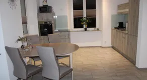 Business Apartment Turgi - Image 2
