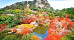 御宿竹林亭 - Image 5
