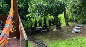 Coconut Studio - Image 5