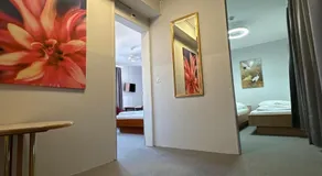 Hotel Rheinfall - Image 4