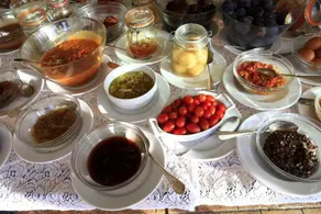 MAS DES FIGUES - très calme - Certifié Biologique - Parc Naturel Ecologique - Piscine 12x6 - brunch paysan méditerranéen cuisine maison - huile d'olive - Agritourisme - Alpilles - Saint Rémy de Provence- 30 avril au 20 septembre 2026 - Image 5