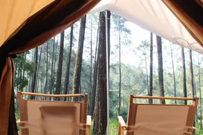 Rumah Lumbung Hutan Pinus - Image 5