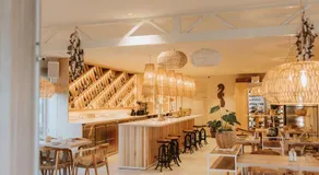 BONK suites - Image 4