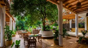 Carpe Diem Casitas & Villas Mazunte - Image 3