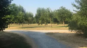 Apartment am Park - Image 5