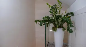 Green Room - Image 5