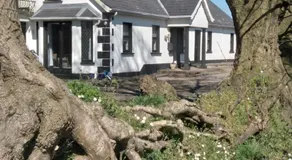 The Wandering Donkey Guest House - Image 3