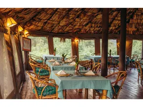 Crater Forest Tented Lodge - Image 4