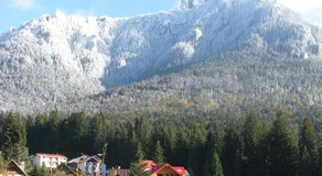 pensiunea Gabriela - Image 5