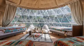 Morethan Paradise - Image 2