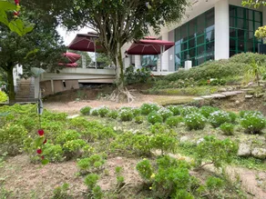 Cameron Hills Resort @ Copthorne (W21-434) - Image 4