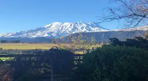 Pukenui Lodge - Image 3