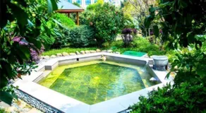 Dolton Changsha Spa Hotel - Image 5