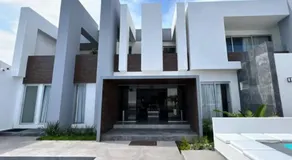 Bamboo - Image 3