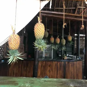 Pazuri kendwa Beach Hotel - Image 4