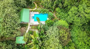 Tropical Paradise Bungalows - Image 4