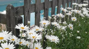 Le Chai de Serres - Image 4