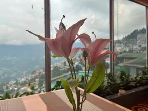 Hotel Mayur - Image 5