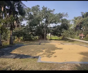 Amullya Kanan Villa, Sundarban - Image 2