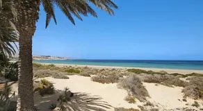 Bahía Vista - Image 5
