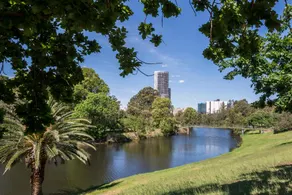 Greenview in Sydney Olympic Park - Image 1