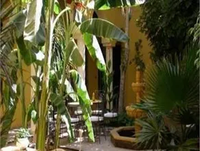 Riad Soleil D'orient - Image 5