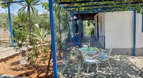 Margarita House - Image 5