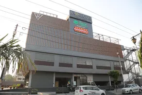 The Green Turtle - Image 3