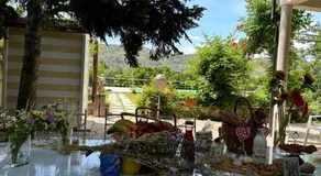 Vida Locrese con piscina salata - Image 4