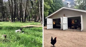 Annies Barn, Fitzroy Falls - Image 5