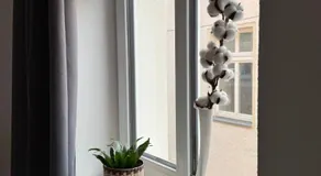 ElbStadtFlair Apartment - Image 5