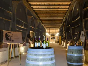 Chateau Pech-Celeyran - Image 5