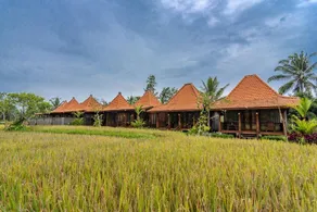 Uma Ulun Dugul Ubud by Dhananjaya Hospitality - Image 2