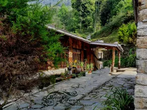The Nettle and Fern Farmstay - Image 5