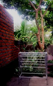 Mami In Homestay - Image 2