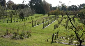 Albergo Rurale Parco di San Floriano - Image 2