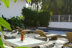 Bougainvillea - Image 4