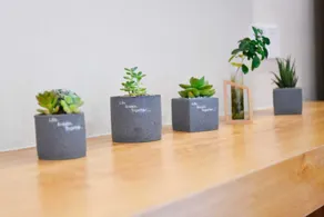 Garden Culture Hotel - Image 3