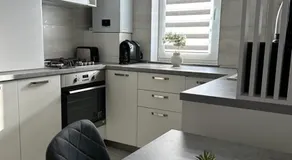 Cozy Studios in Suceava - Image 5