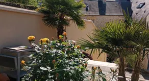Les palmiers - Image 5