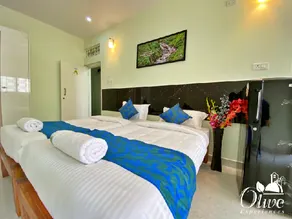 Olive Serviced Apartments and Catering - Image 2