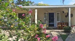 Eight Palms - Image 5