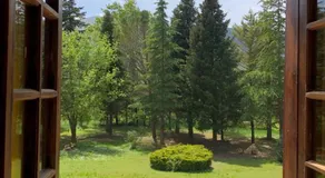 Casa Verde - Image 3