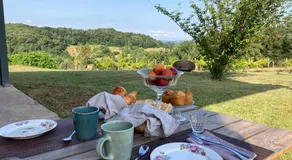 Domaine Labouroume - Image 4